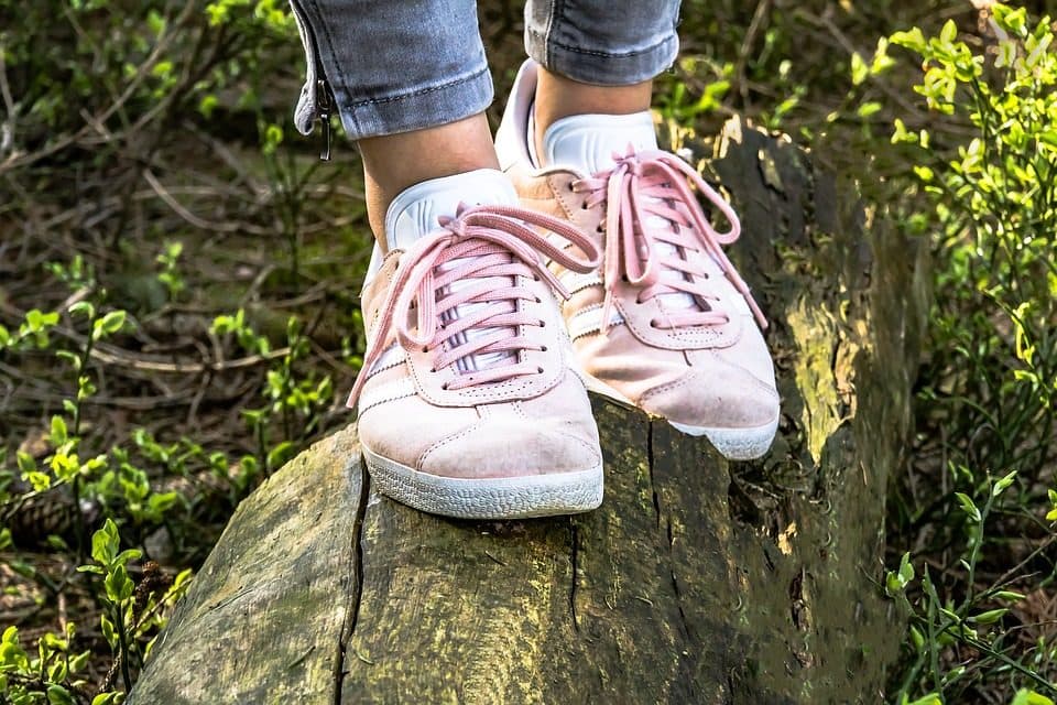 Pantofi sport roz pe un trunchi de copac, în pădure