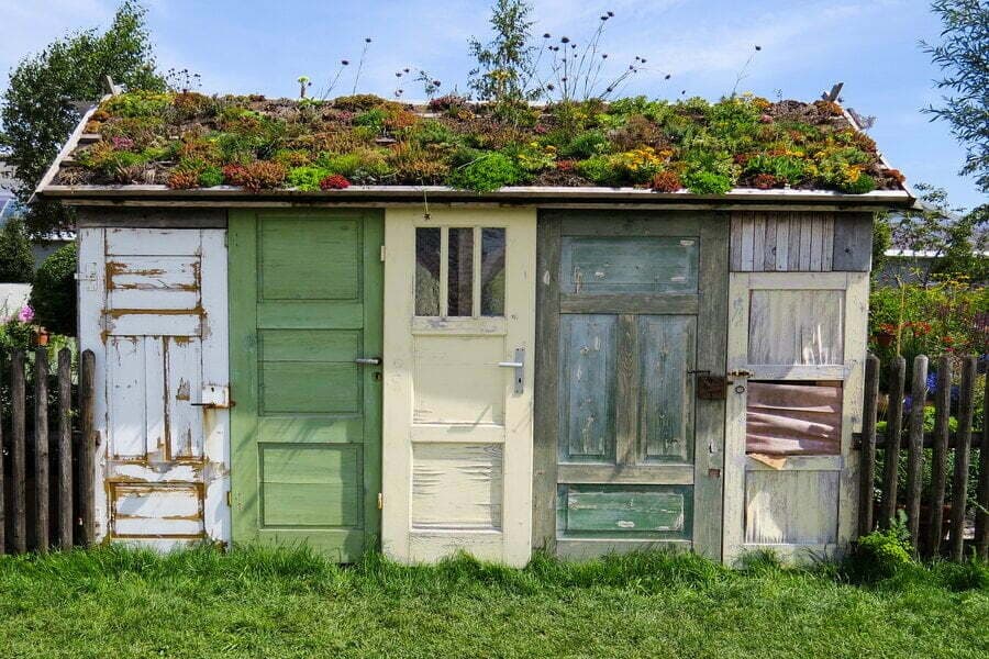 Șopron făcut din uși vechi, cu acoperiș plin de plante