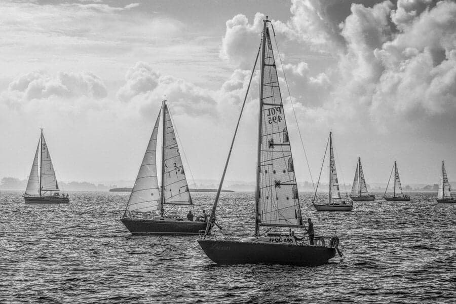 Fotografie alb-negru cu bărci cu pânze pe mare