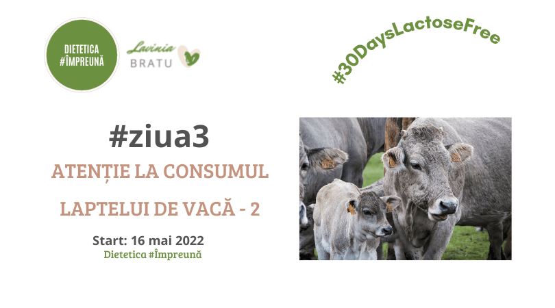 Card „#ziua3 Atenție la consumul laptelui de vacă - 2”, cu vaci și viței