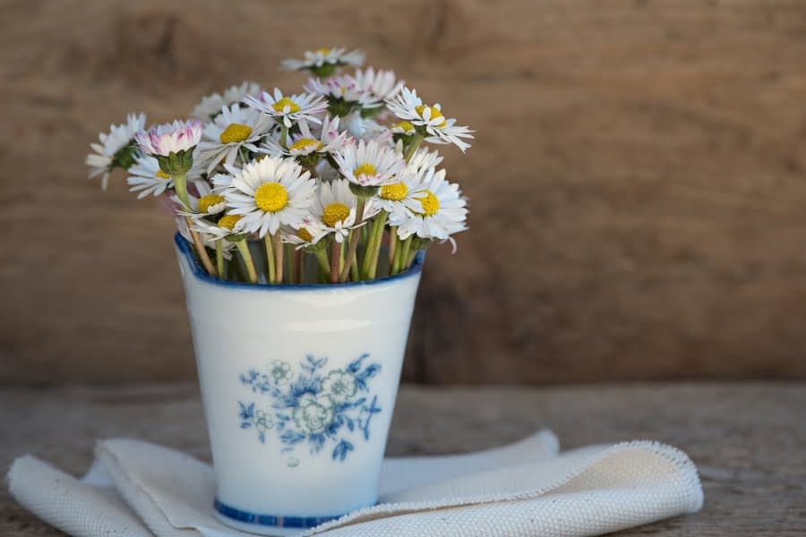 Buchet de margarete într-o cană albă, pe masă de lemn