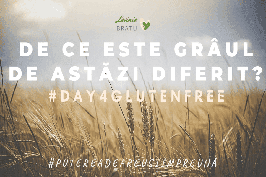 Câmp de grâu cu textul „De ce este grâul de astăzi diferit?”