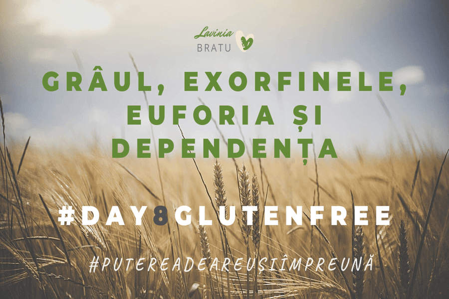 Câmp de grâu cu textul „Grâul, exorfinele, euforia și dependența”