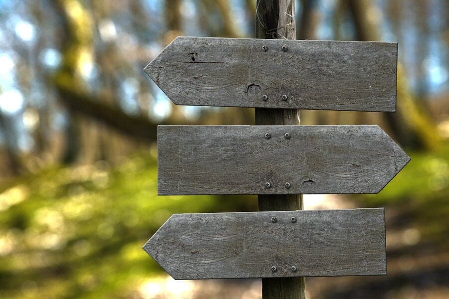 Trei indicatoare de lemn goale pe un stâlp, în pădure