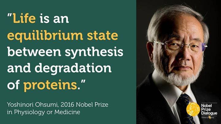 Card cu citatul „Life is an equilibrium state between synthesis and degradation of proteins”, Yoshinori Ohsumi