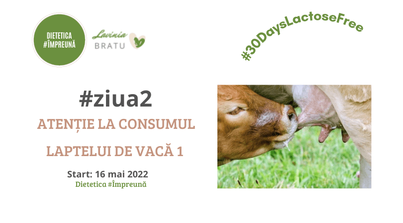 Card „#ziua2 Atenție la consumul laptelui de vacă 1”, cu un vițel care suge