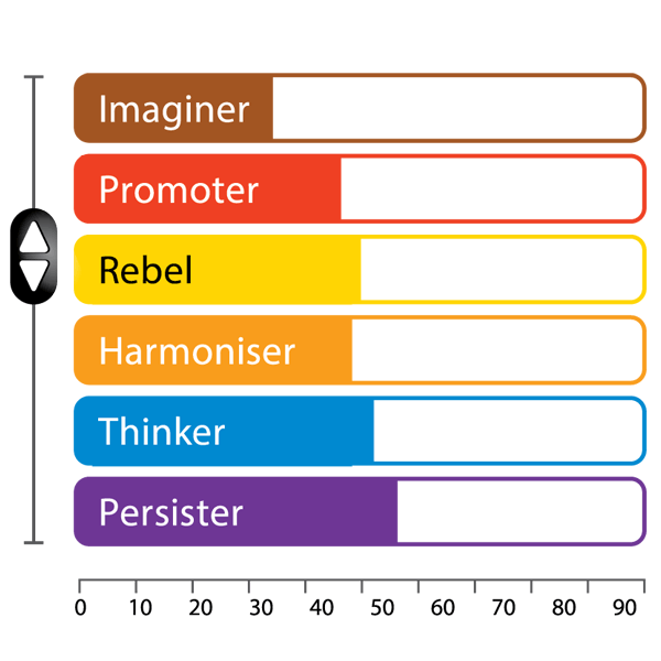 Grafic cu bare colorate pentru șase tipuri: Imaginer, Promoter, Rebel, Harmoniser, Thinker, Persister